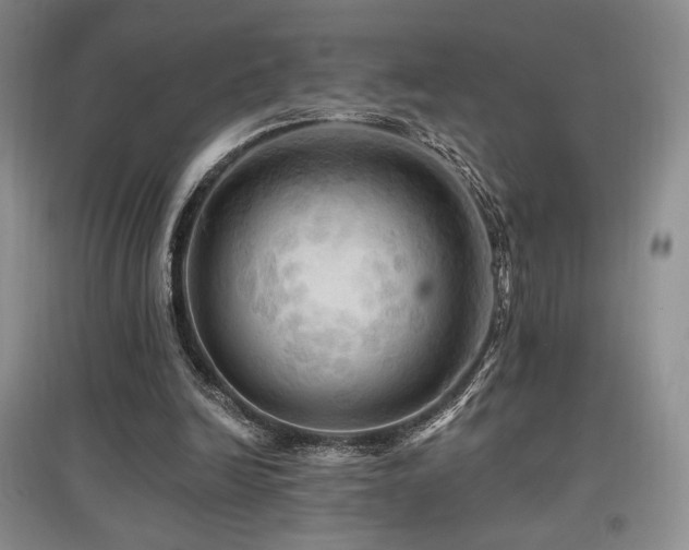 X0000097830246200803141151