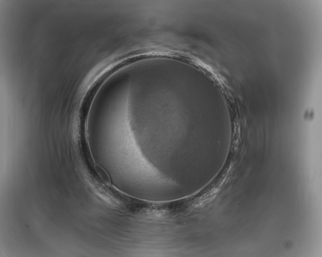 X0000097830247200803141151