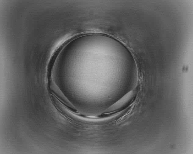 X0000097830248200803141151