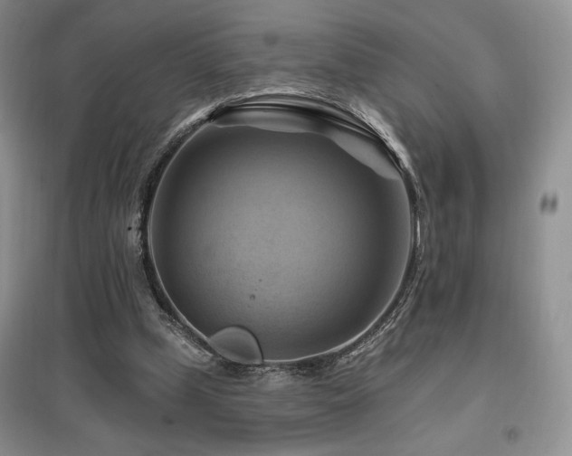 X0000097830249200803141151