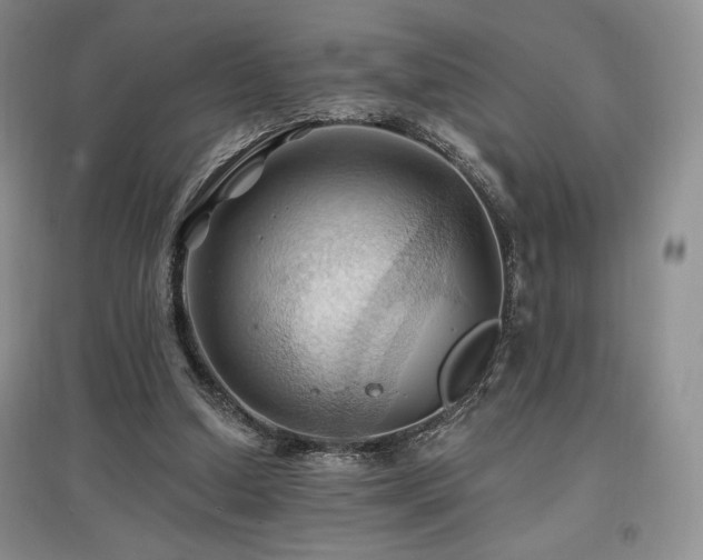 X0000097830250200803141151