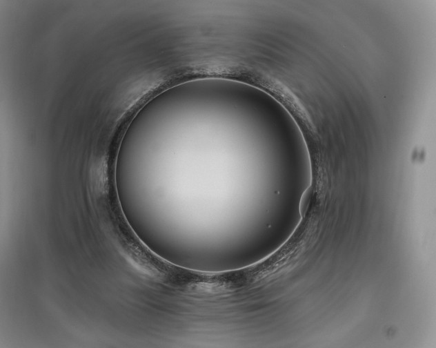 X0000097830251200803141151