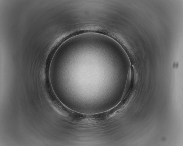 X0000097830252200803141151