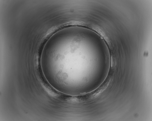 X0000097830253200803141151