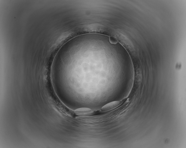 X0000097830255200803141151