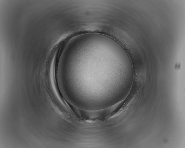 X0000097830256200803141152