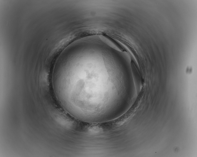 X0000097830258200803141152