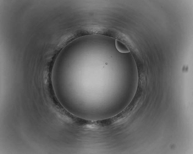 X0000097830259200803141152