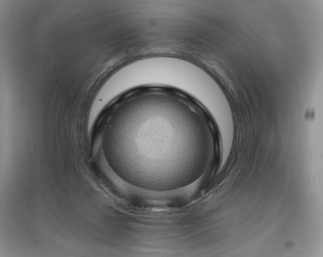 X0000097830260200803141152