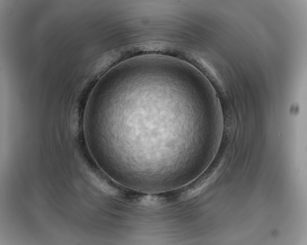 X0000097830261200803141152