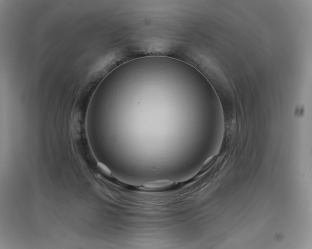 X0000097830264200803141152