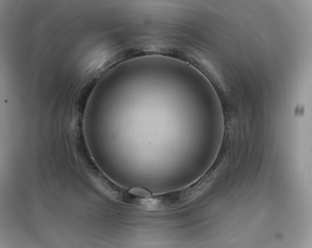 X0000097830265200803141152