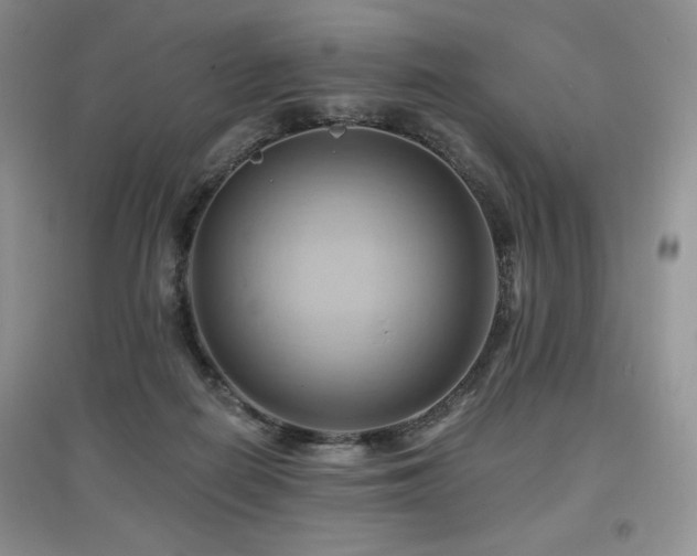 X0000097830266200803141152