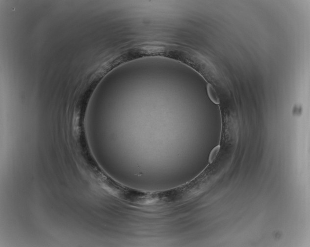 X0000097830267200803141152