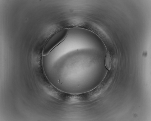 X0000097830268200803141152