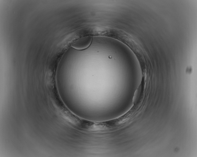 X0000097830270200803141152