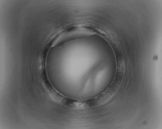 X0000097830272200803141152