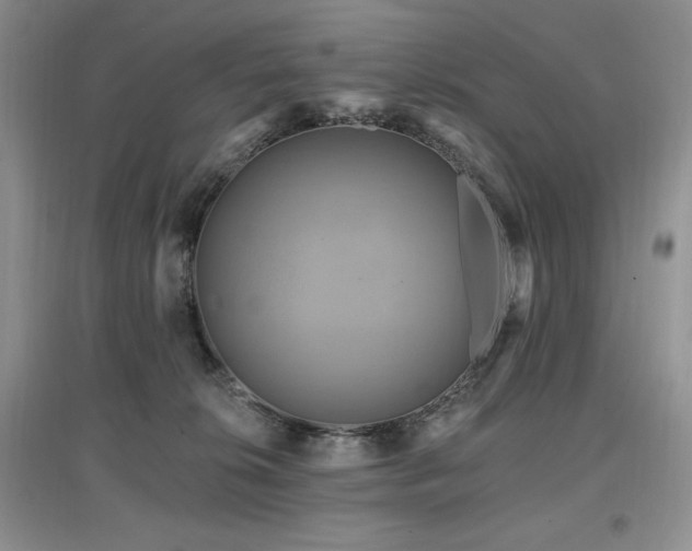 X0000097830276200803141152