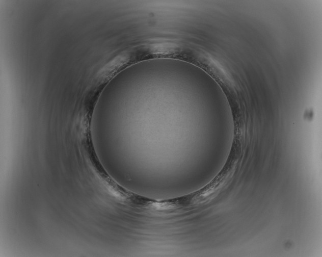 X0000097830277200803141152
