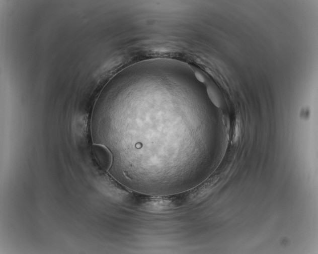X0000097830278200803141152