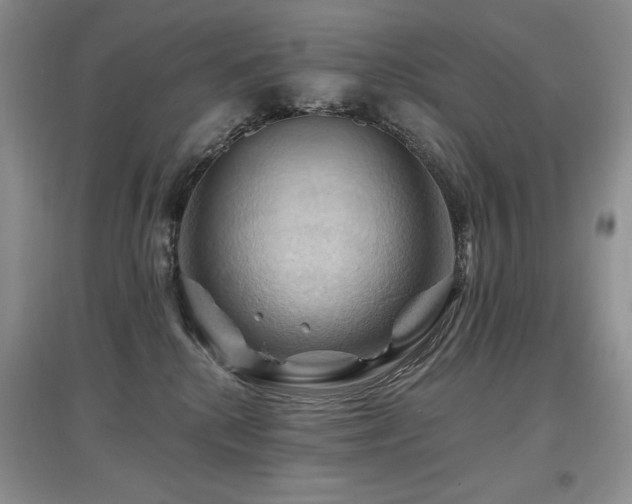 X0000097830280200803141152