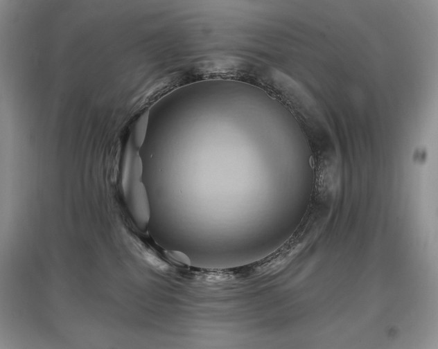 X0000097830282200803141152