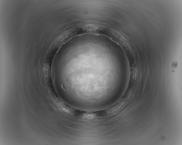 X0000097830283200803141152