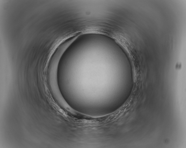X0000097830289200803141151