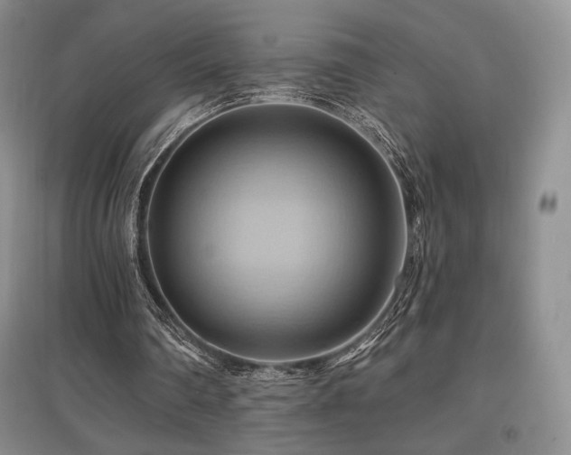 X0000097830290200803141151