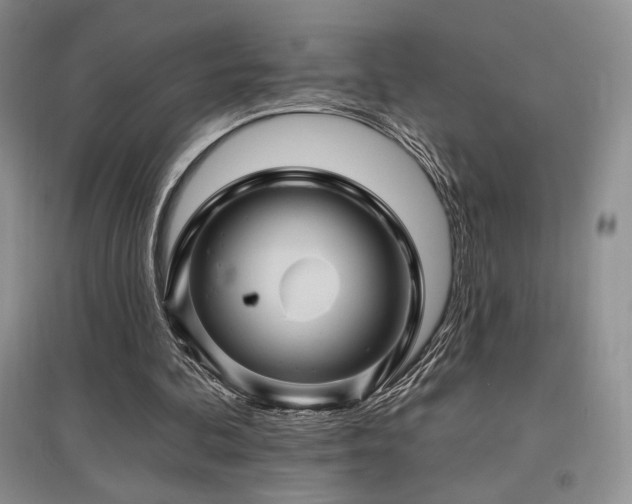 X0000097830292200803141151
