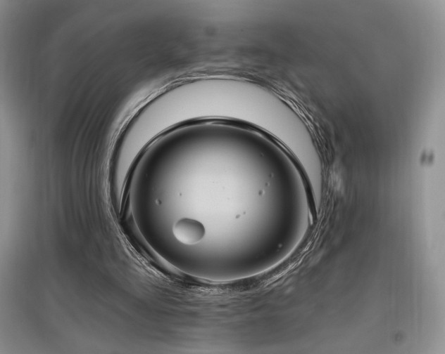 X0000097830293200803141151