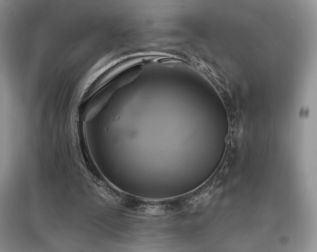 X0000097830295200803141151