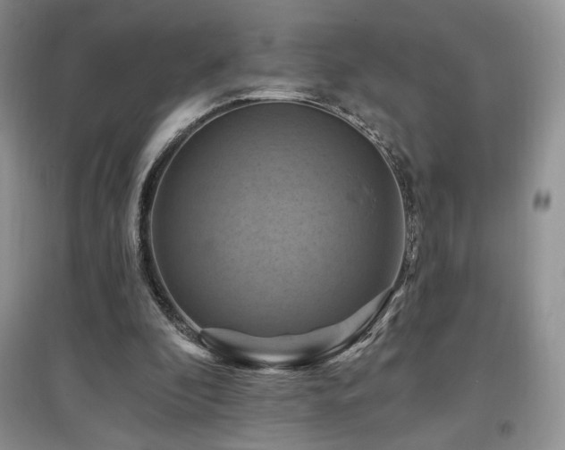 X0000097830296200803141151