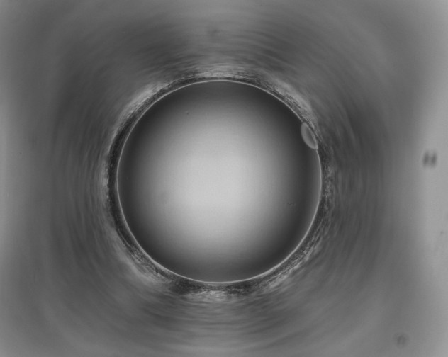 X0000097830298200803141151
