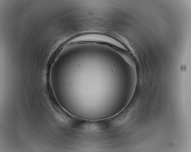 X0000097830299200803141151