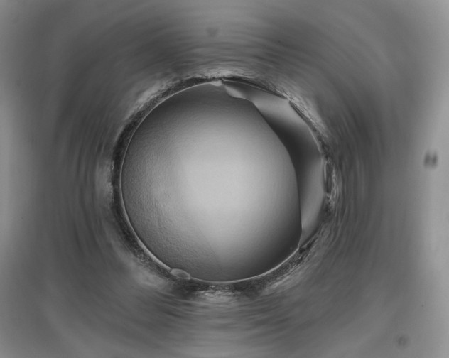 X0000097830300200803141151