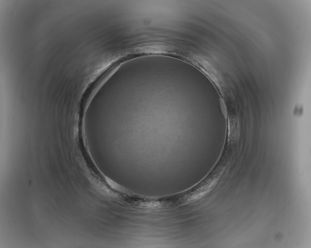 X0000097830301200803141151