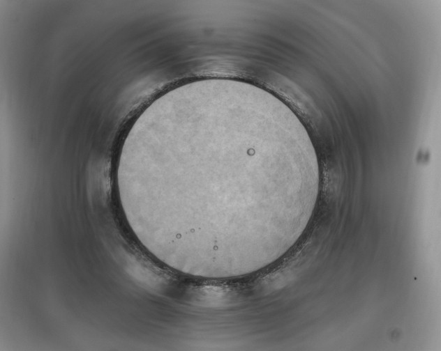 X0000097830302200803141151