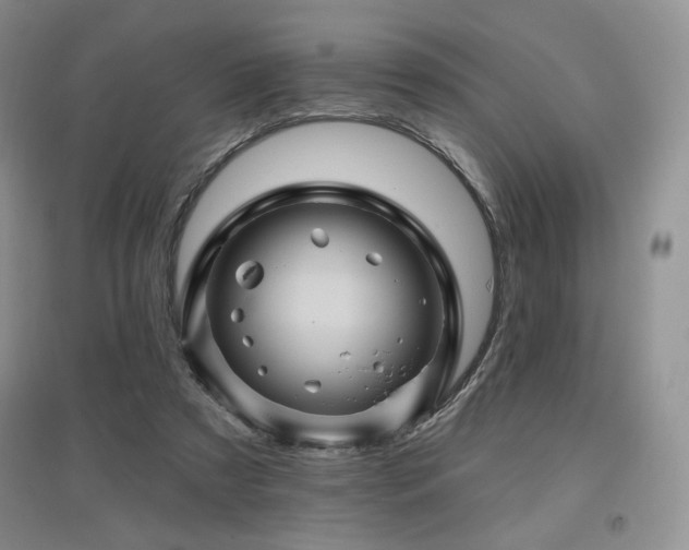 X0000097830305200803141151