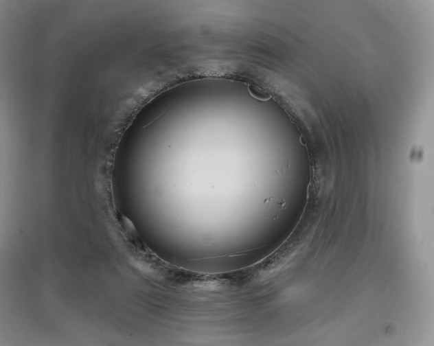X0000097830307200803141151