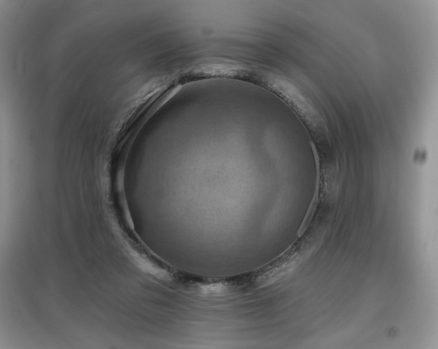X0000097830309200803141151