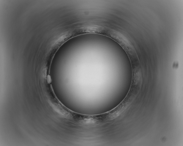 X0000097830310200803141151
