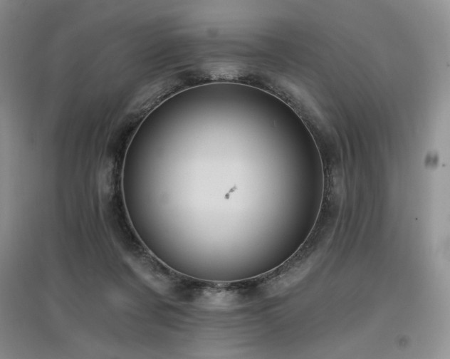 X0000097830311200803141151