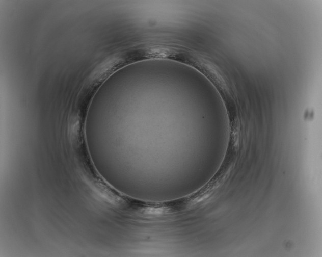 X0000097830314200803141151