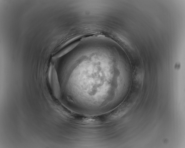 X0000097830315200803141151