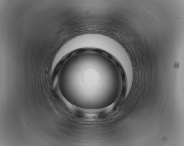 X0000097830316200803141151