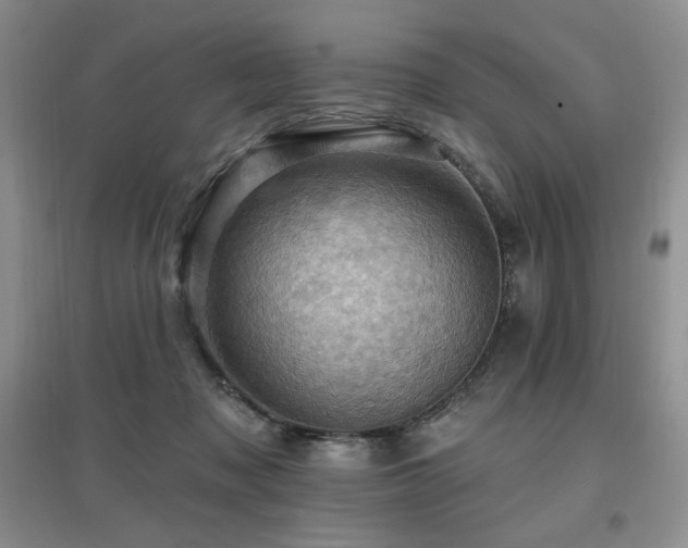 X0000097830317200803141151