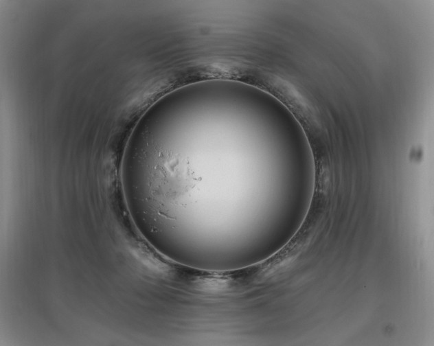 X0000097830318200803141151