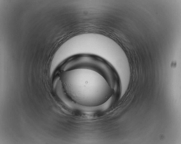 X0000097830320200803141151