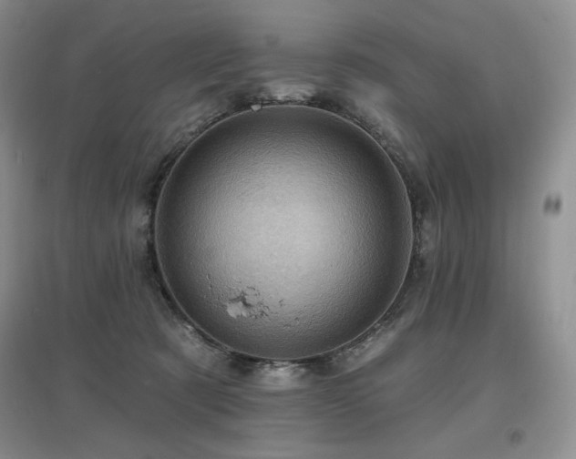 X0000097830321200803141151